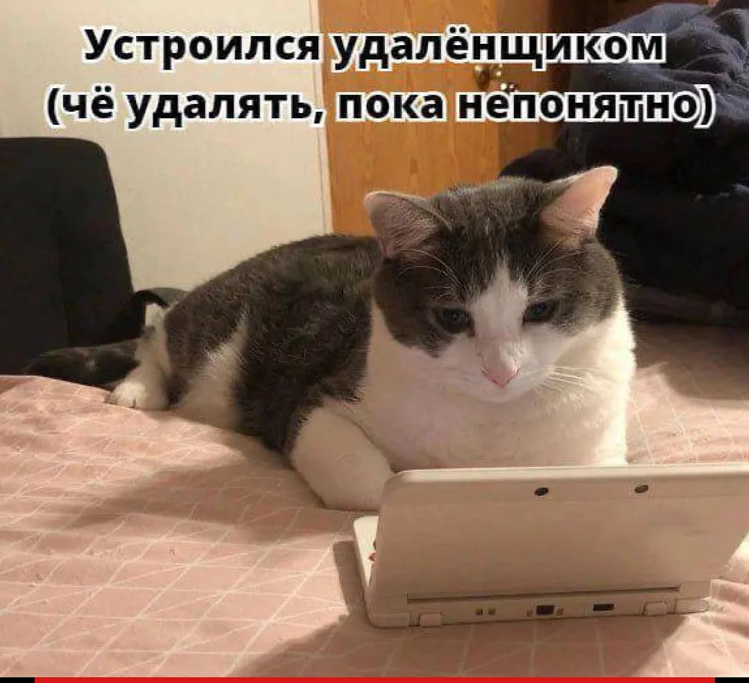 С пятницей всех!