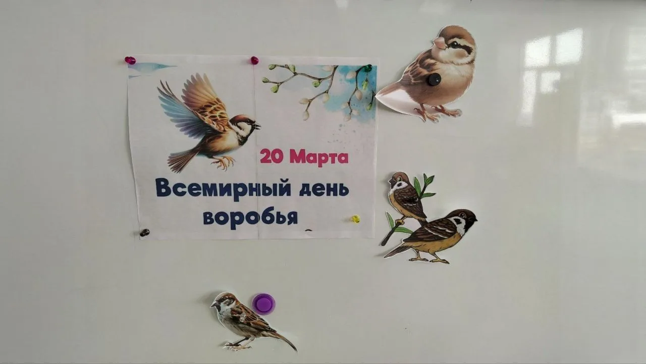 ▌Всемирный день воробья