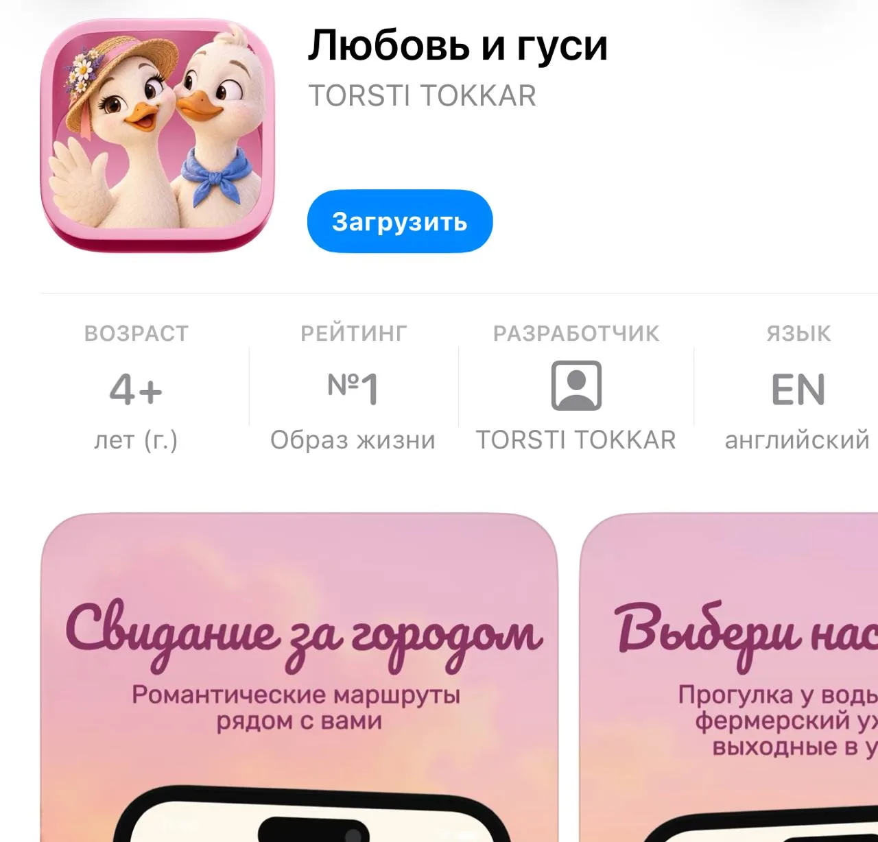 Россельхозбанк выпустил приложение в App Store под названием «Любовь и гуси»