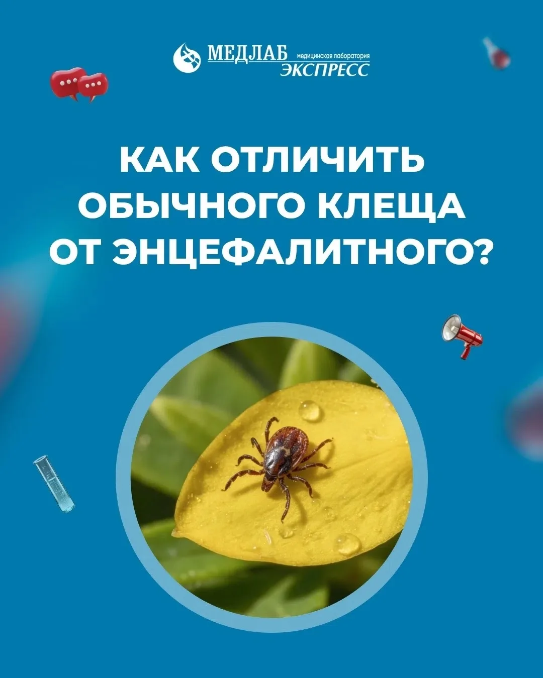В Пермском крае продолжается сезон клещей: всё чаще фиксируются укусы после прогулок, поездок на дач