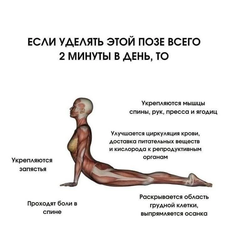 Полезно знать 🌿

⚠️ Информация предоставлена в ознакомительных целях и не заменяет медицинскую помо