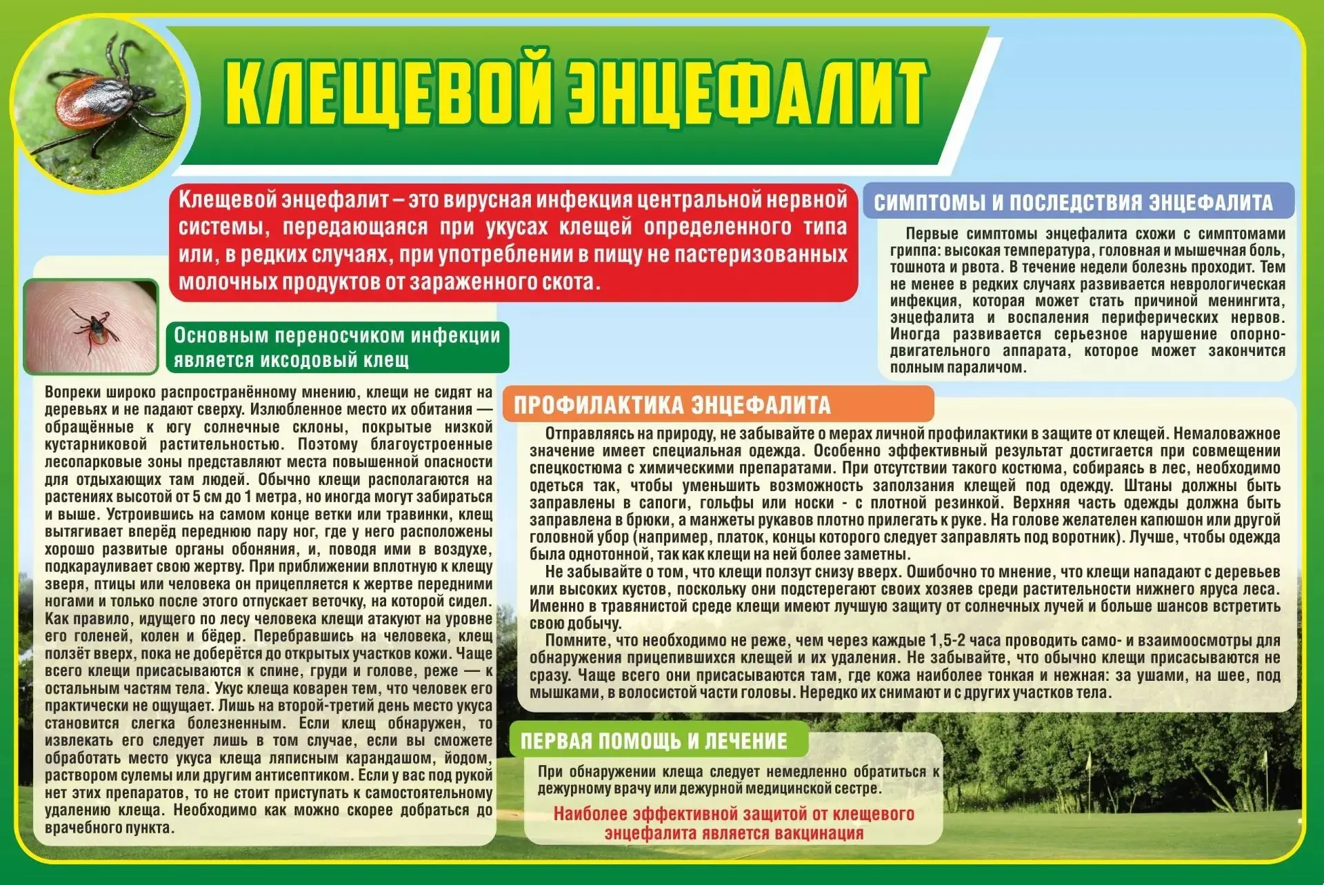 📢Клещевой вирусный энцефалит и меры его профилактики📌

📌🕷Клещевой вирусный энцефалит – острое ин
