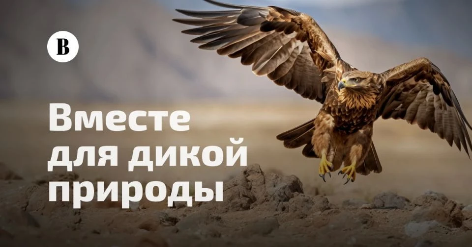 🌱Жителей Камчатского края приглашают поддержать Всероссийский проект «Вместе для дикой природы».

В