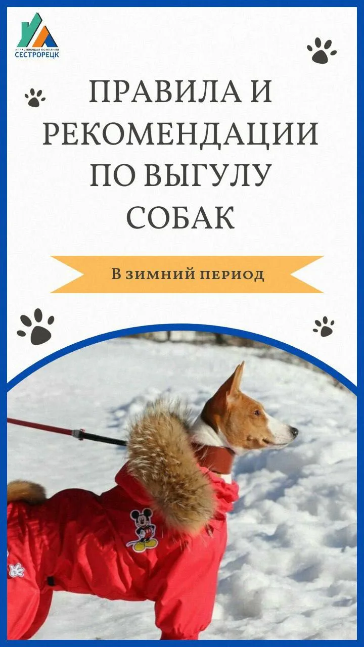 Уважаемые владельцы домашних животных!