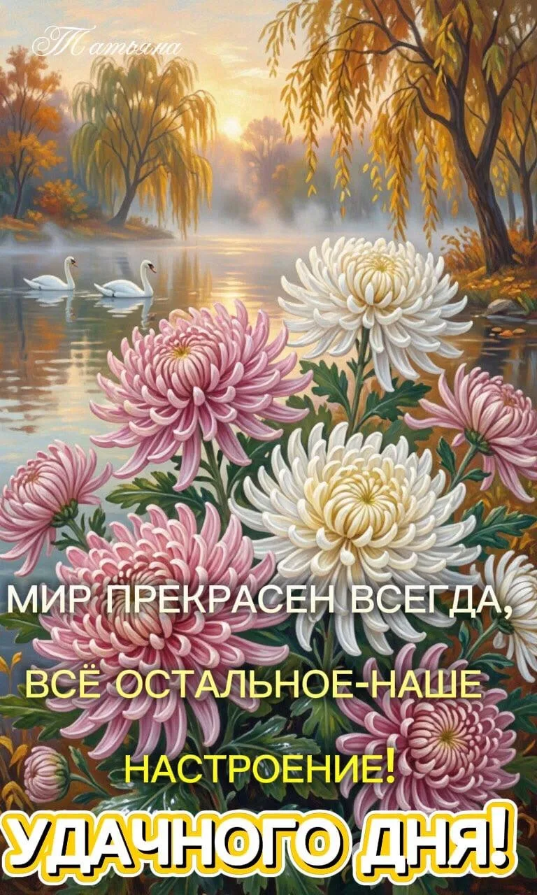 🌷 Открытки подписаться 👈