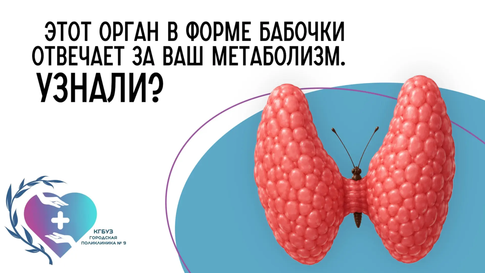 Завершаем неделю профилактики самым нежным и важным органом — щитовидной железой. Она з...