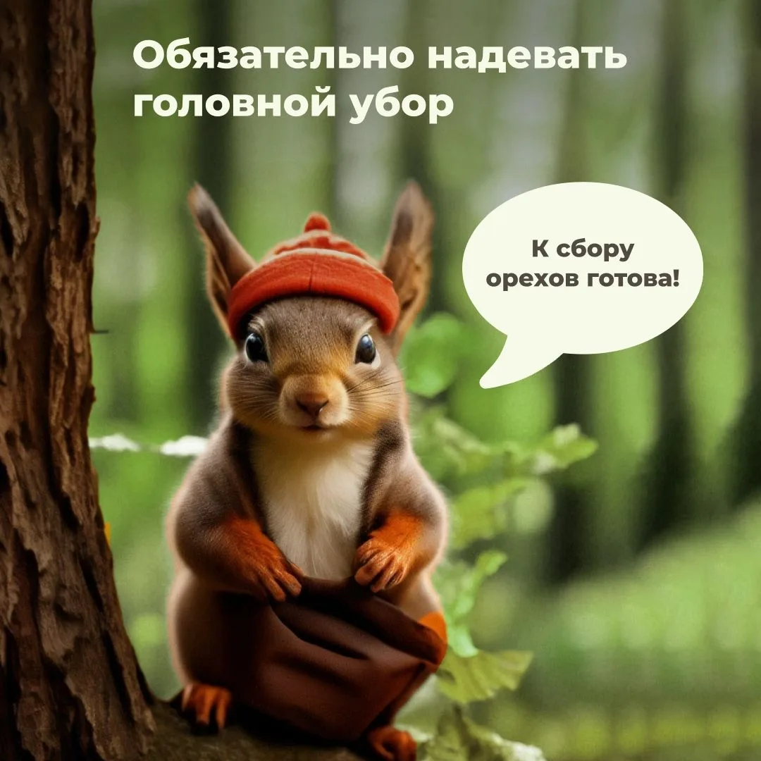 Они не дремлют: где обитают, как защититься и что делать, если обнаружили клеща.
В карточках собрали