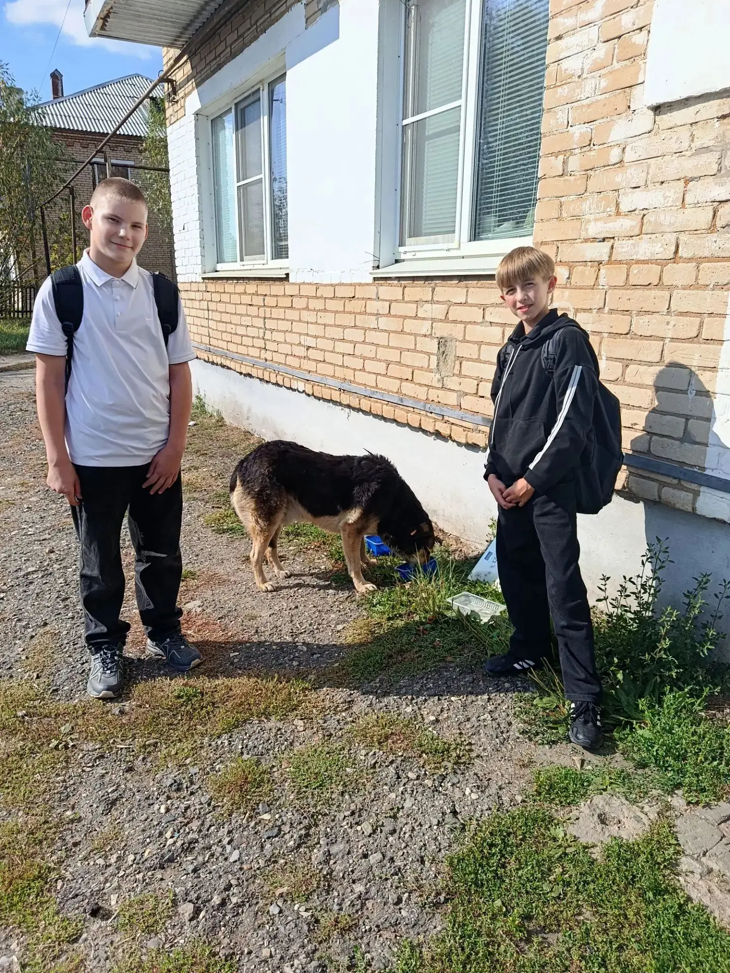#увельскийцдод #ДеньЖивотных74
