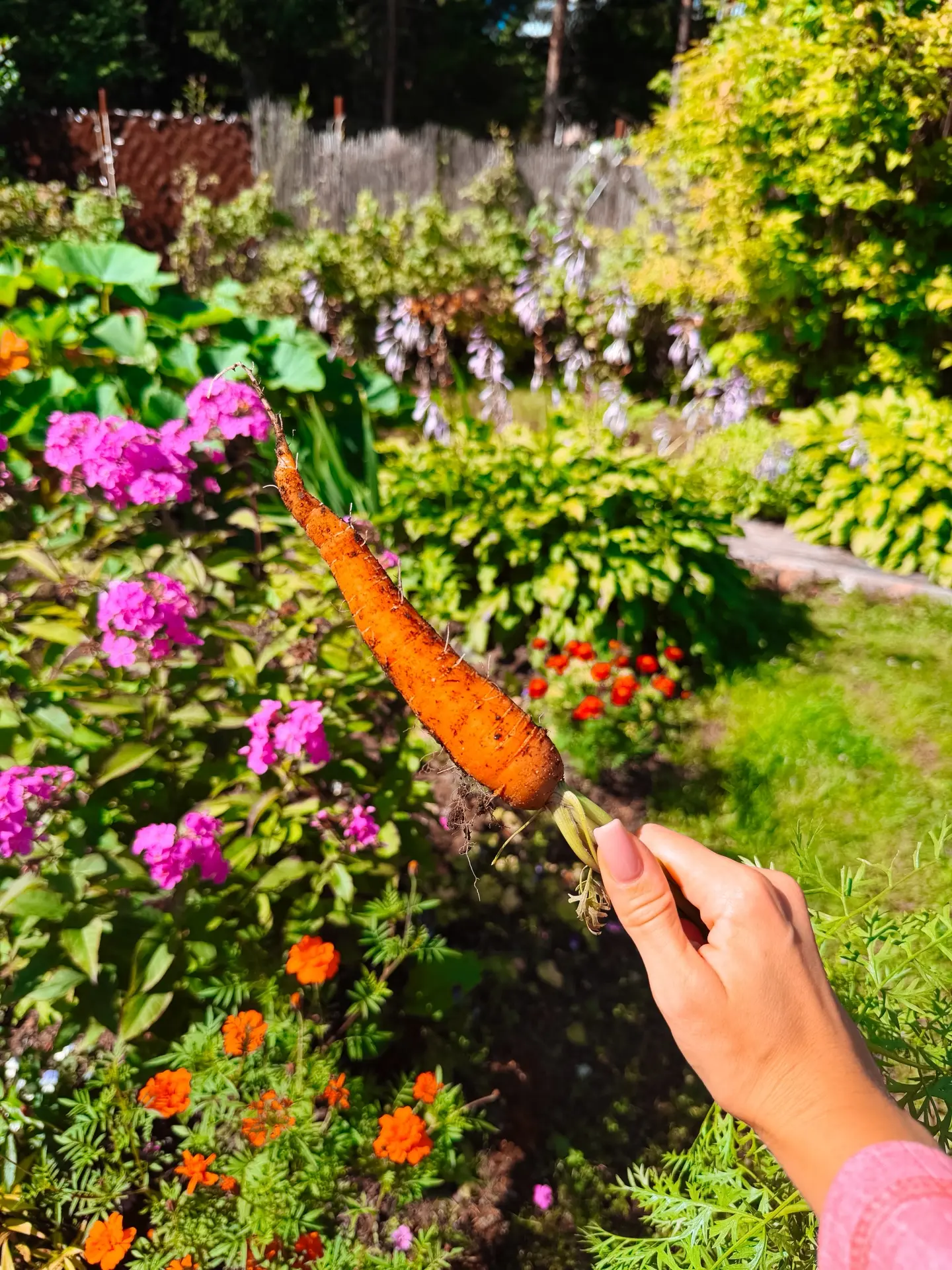 Дачные сводки 🏡🌷🌊🥕
Конкурс для самых внимательных и опытных садоводов! Что за цветок на 5 фотке?