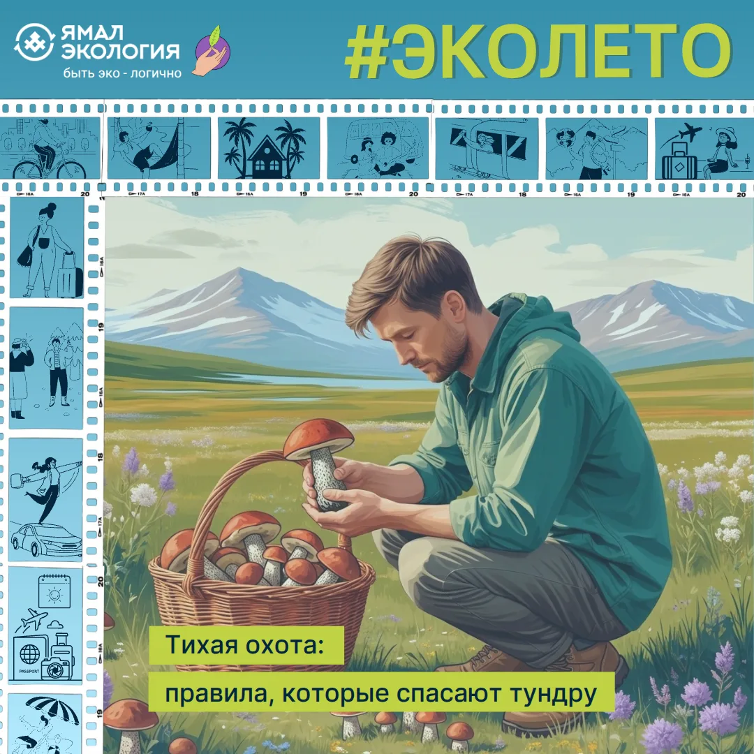 Грибное место - как собирать дары Севера правильно 🍄‍🟫

Морошка, клюква, голубика, черника, маслят
