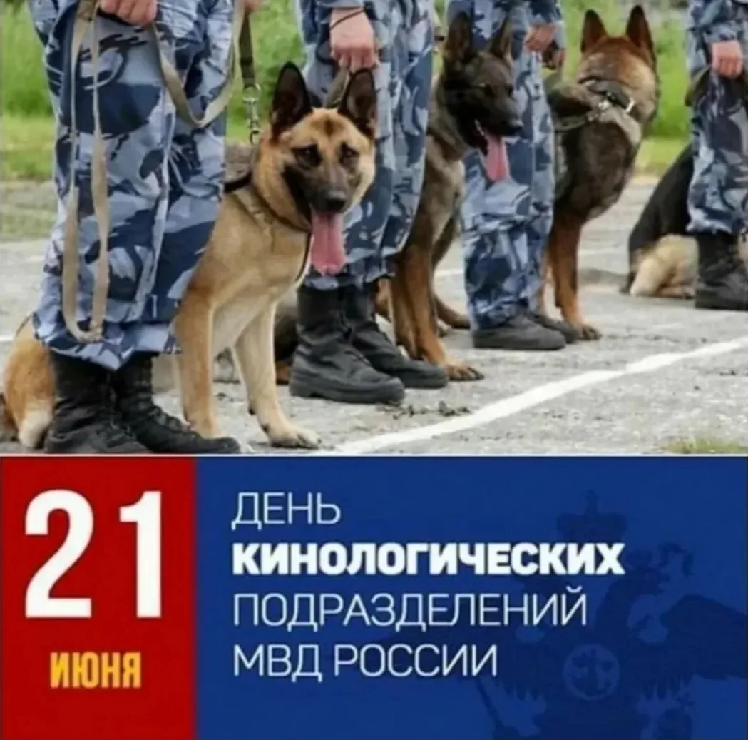 Уважаемые кинологи!

Избирательная комиссия Запорожской области поздравляет вас с профессиональным п