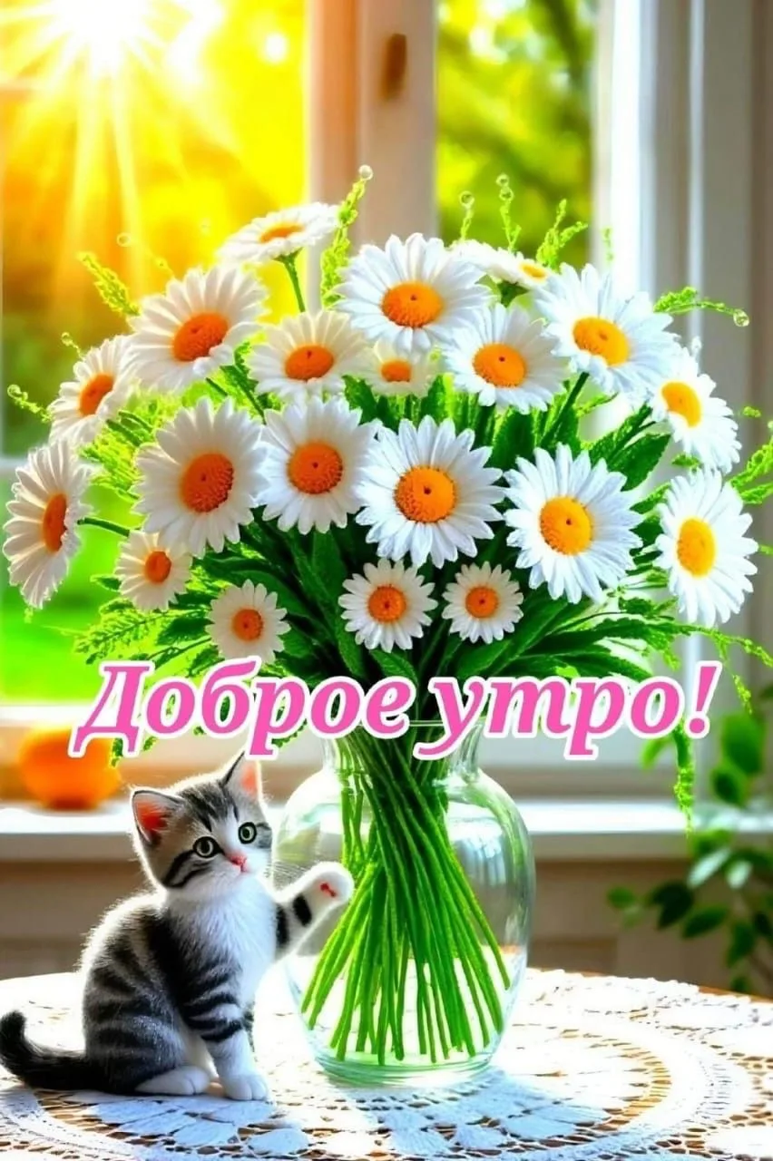 Красивые открытки❤️