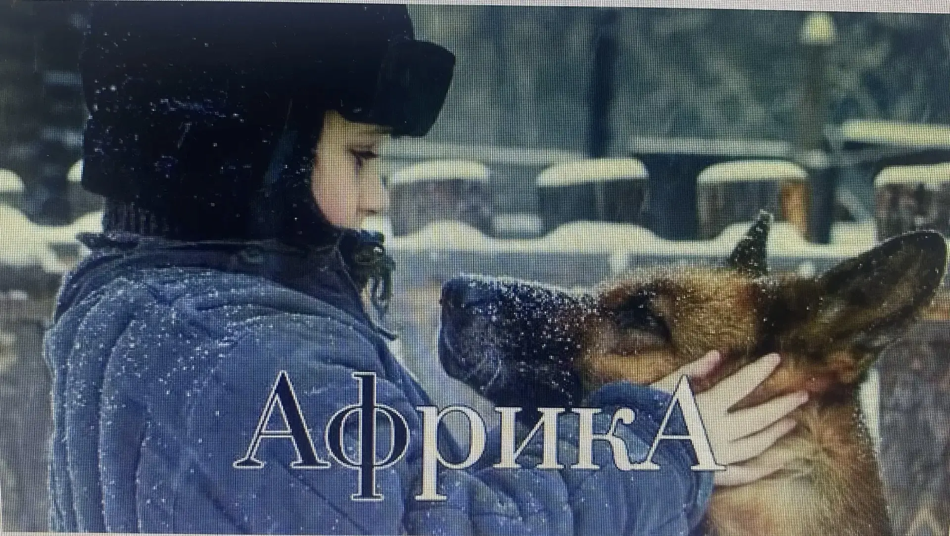 🎞️Студенты групп 1-8 и 1-11  совместно с преподавателем истории посмотрели художествен...