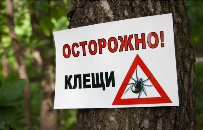 ⚡️⚡️38 павинцев обратились к врачам после укуса клеща.