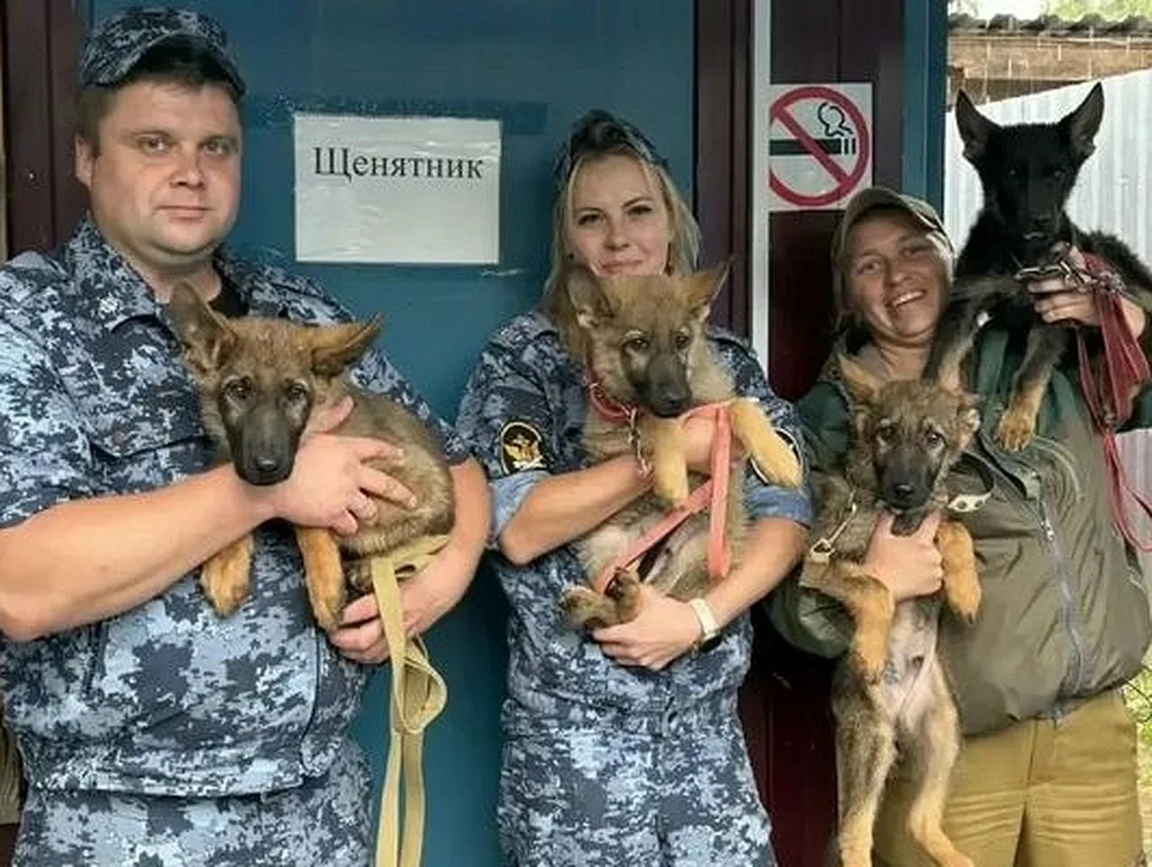 🐕 Шесть щенков, выращенных в племенном питомнике служебного собаководства при исправительной колони