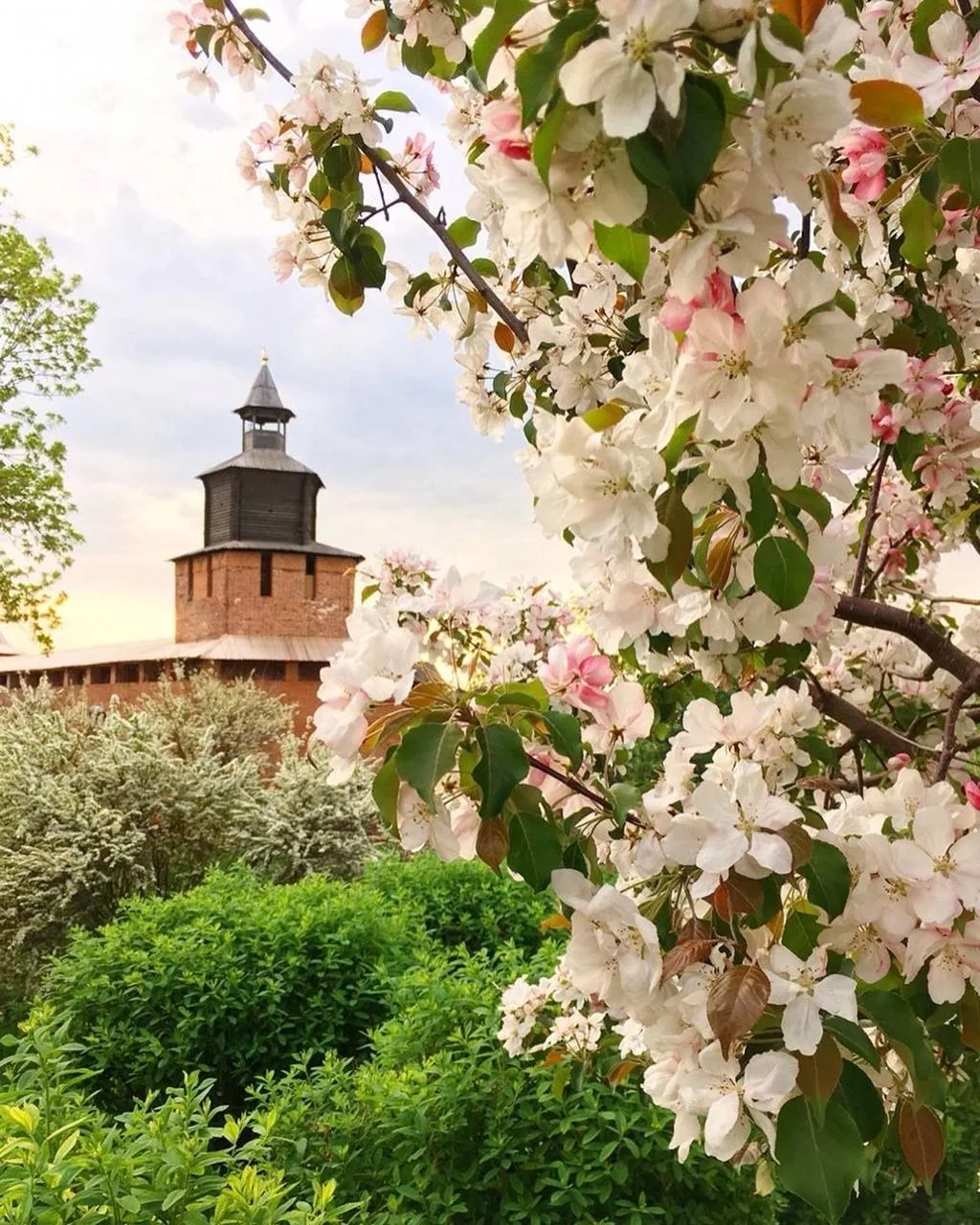 😍 Город сейчас особенно красивый — уже зацвели деревья, и если хочется устроить себе прогулку с весе