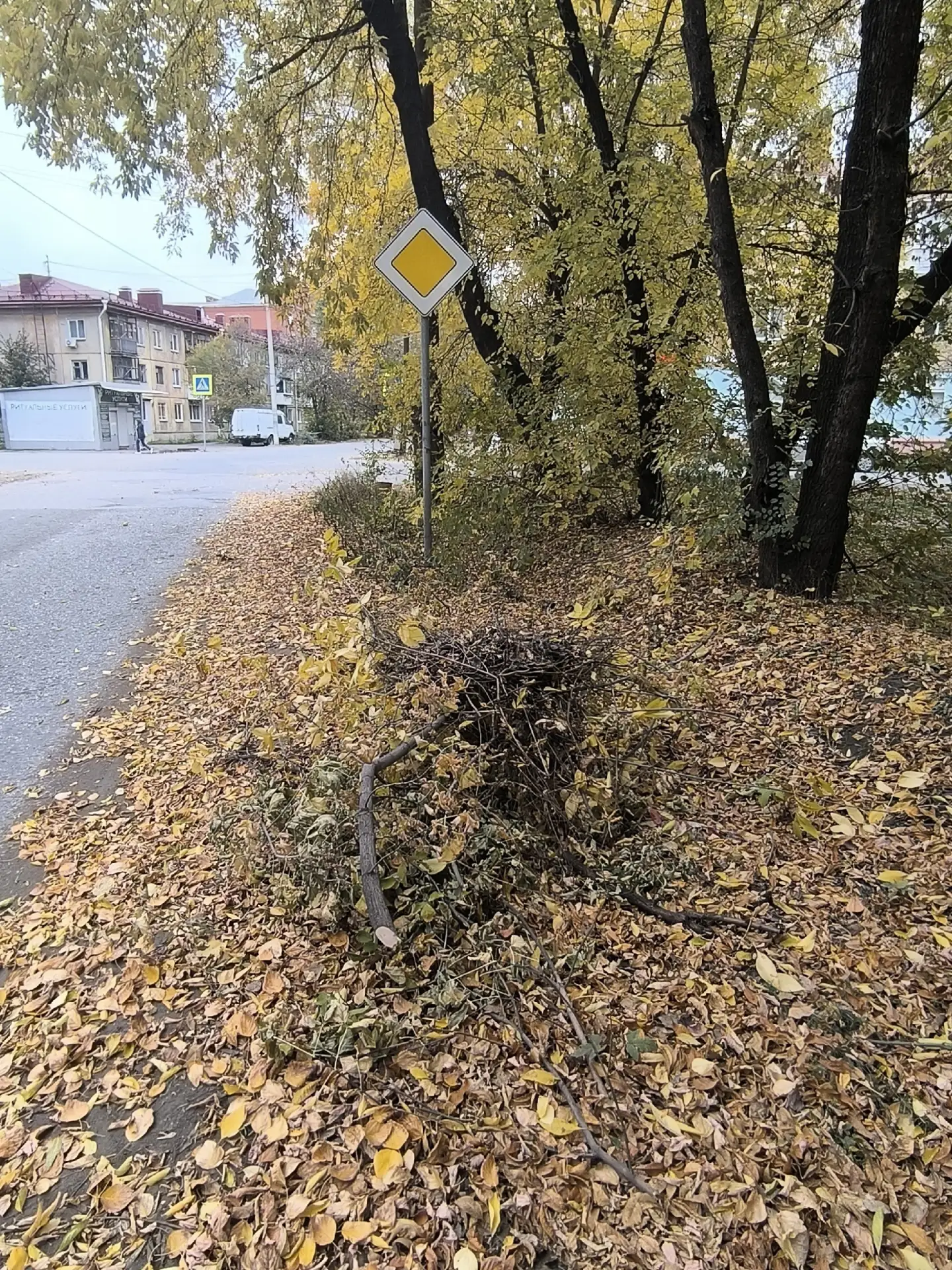 Перекресток ул. Молодогвардейская и ул. К Заслонова.