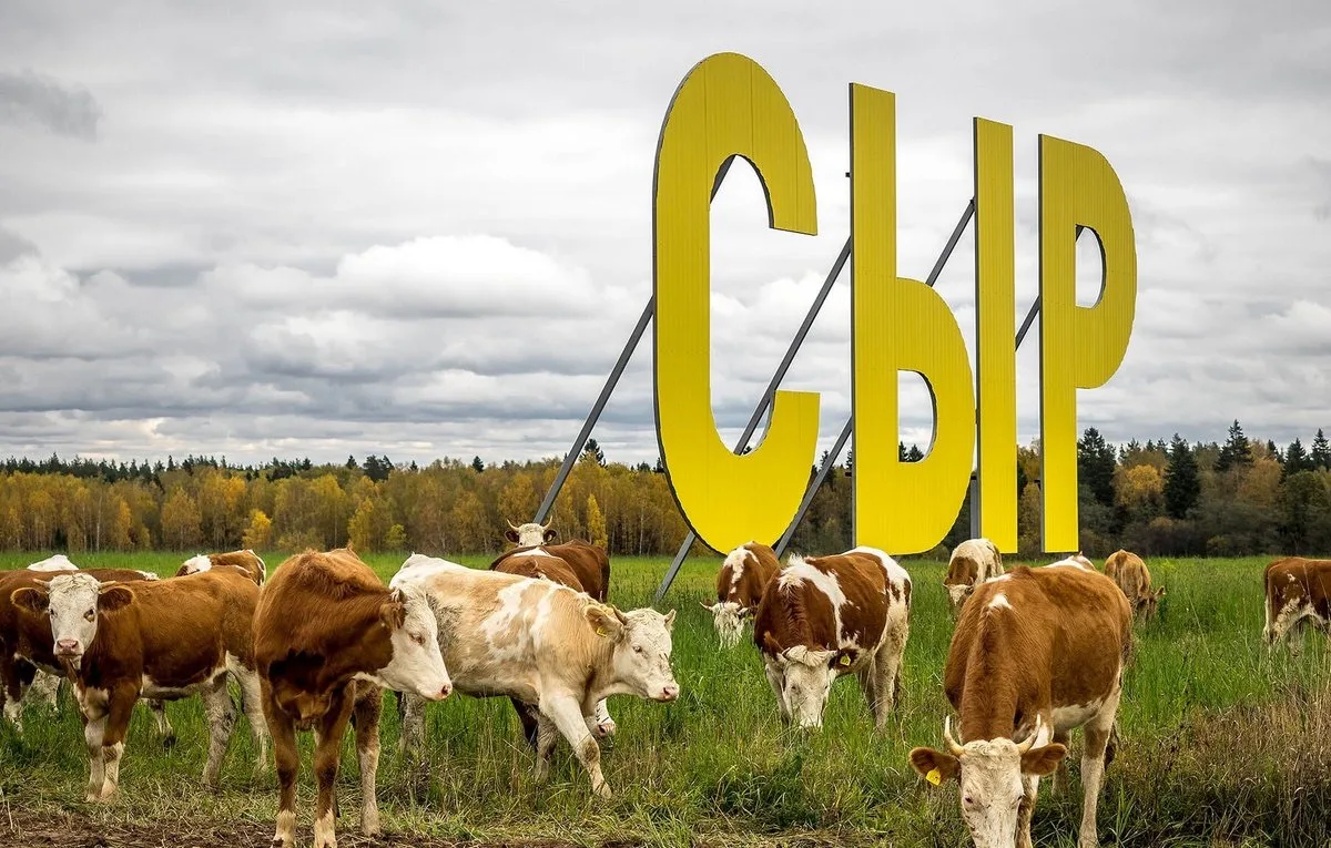 Сыроварня Олега Сироты
