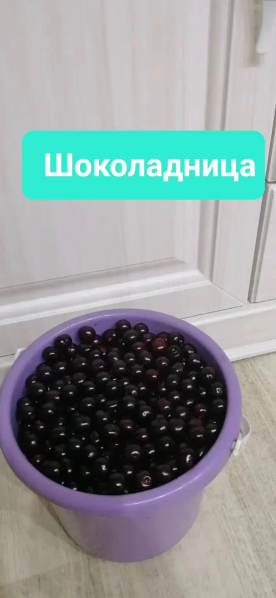 На меня иногда накатывает грусть об уходящем лете...Хотя для меня это достаточно насыще...