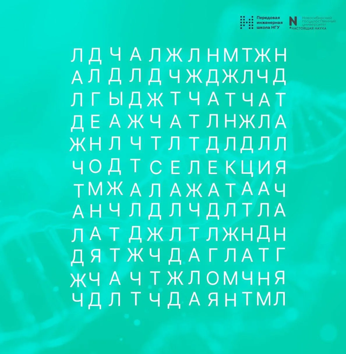 🧩 Что зашифровано на картинке?