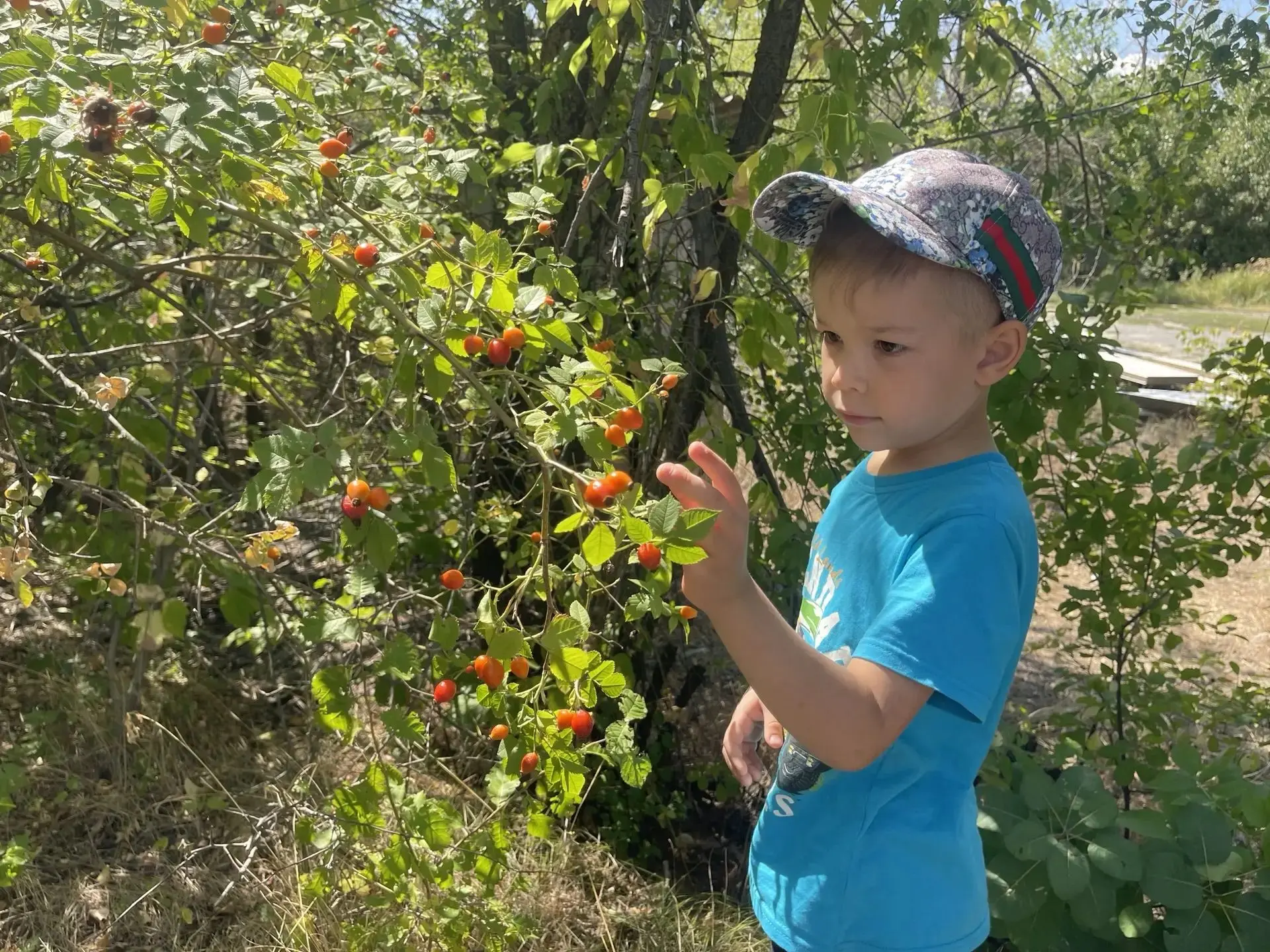 🌳 В ГБУСОН РО «СРЦ Константиновского района» с большим интересом и пользой работает тв...