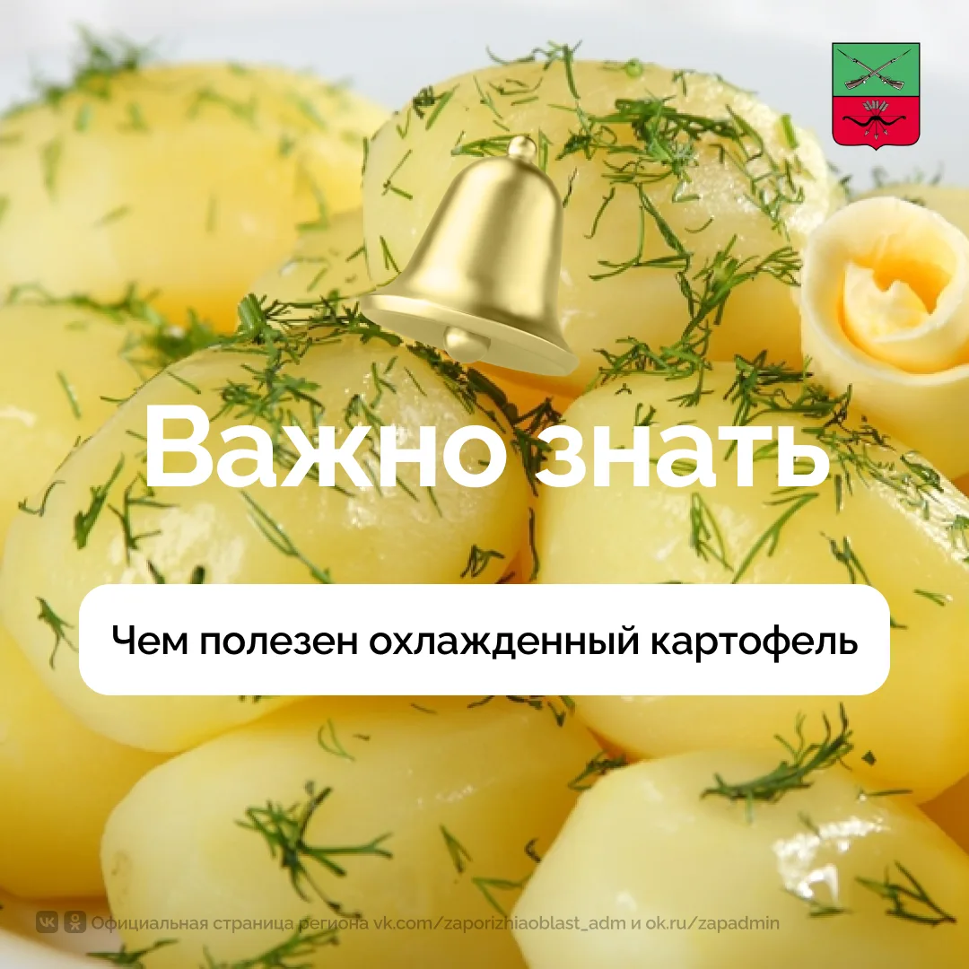 Полезный пребиотик в холодном картофеле

В процессе охлаждения вареного картофеля часть содержащегос