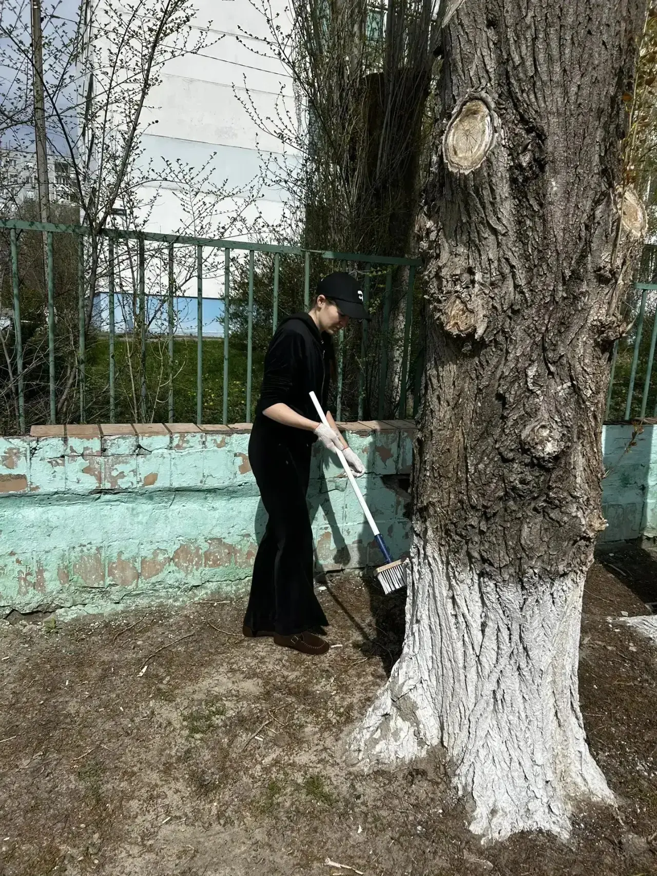 ✨ Учителя МОУ СШ №5 приняли активное участие в общегородском субботнике! ✨ Сегодня наши педагоги вме