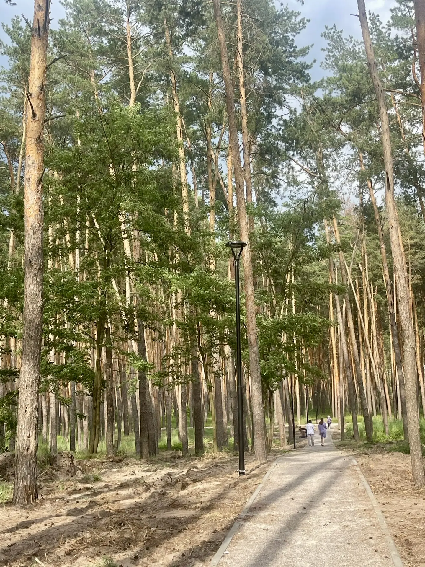 Друзья, у нас отличная новость! 🎉

В Приютовском парке завершились работы по проекту «Решаем вместе