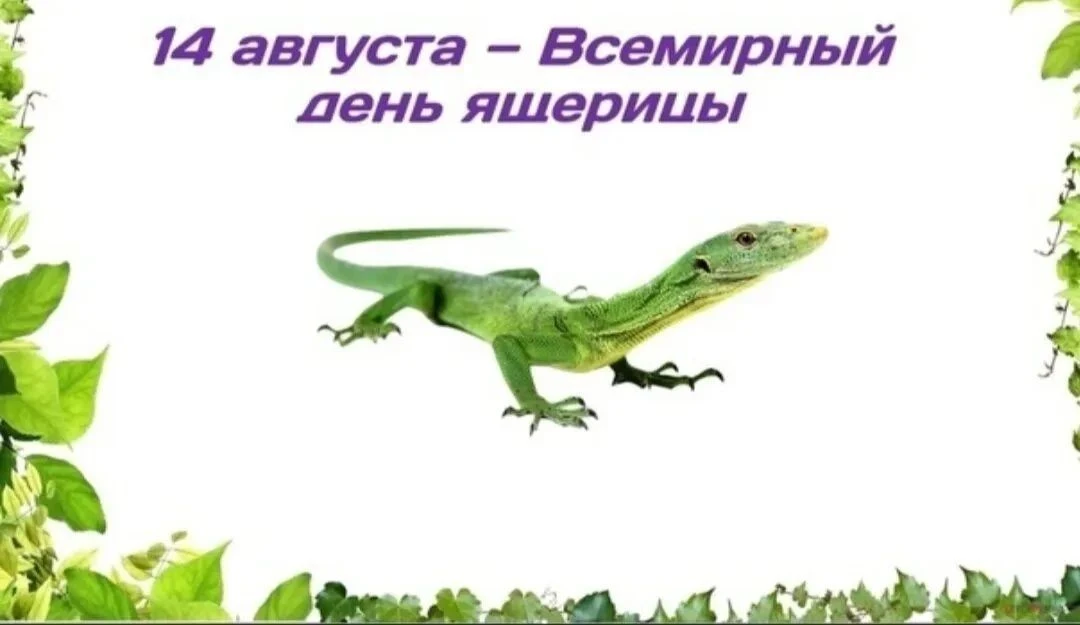 В детском саду состоялось тематическое мероприятие — беседа, приуроченная ко Дню ящерицы.
