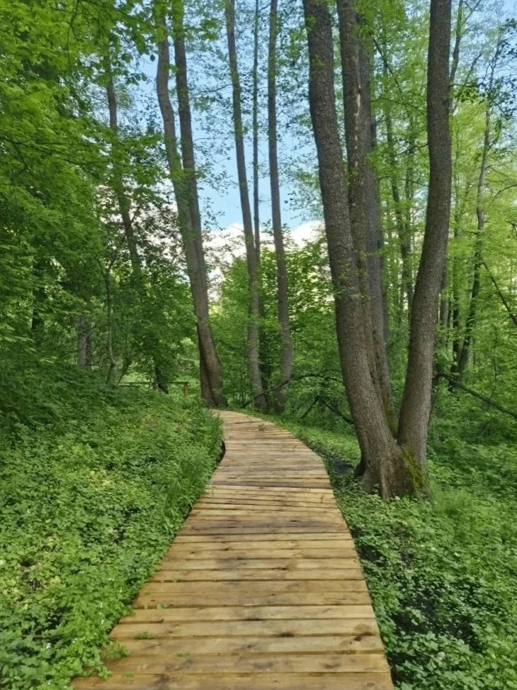 В Усадьбе Фета сделали деревянные настилы к объектам 🌳

Долгое время болотистая местность мешала но