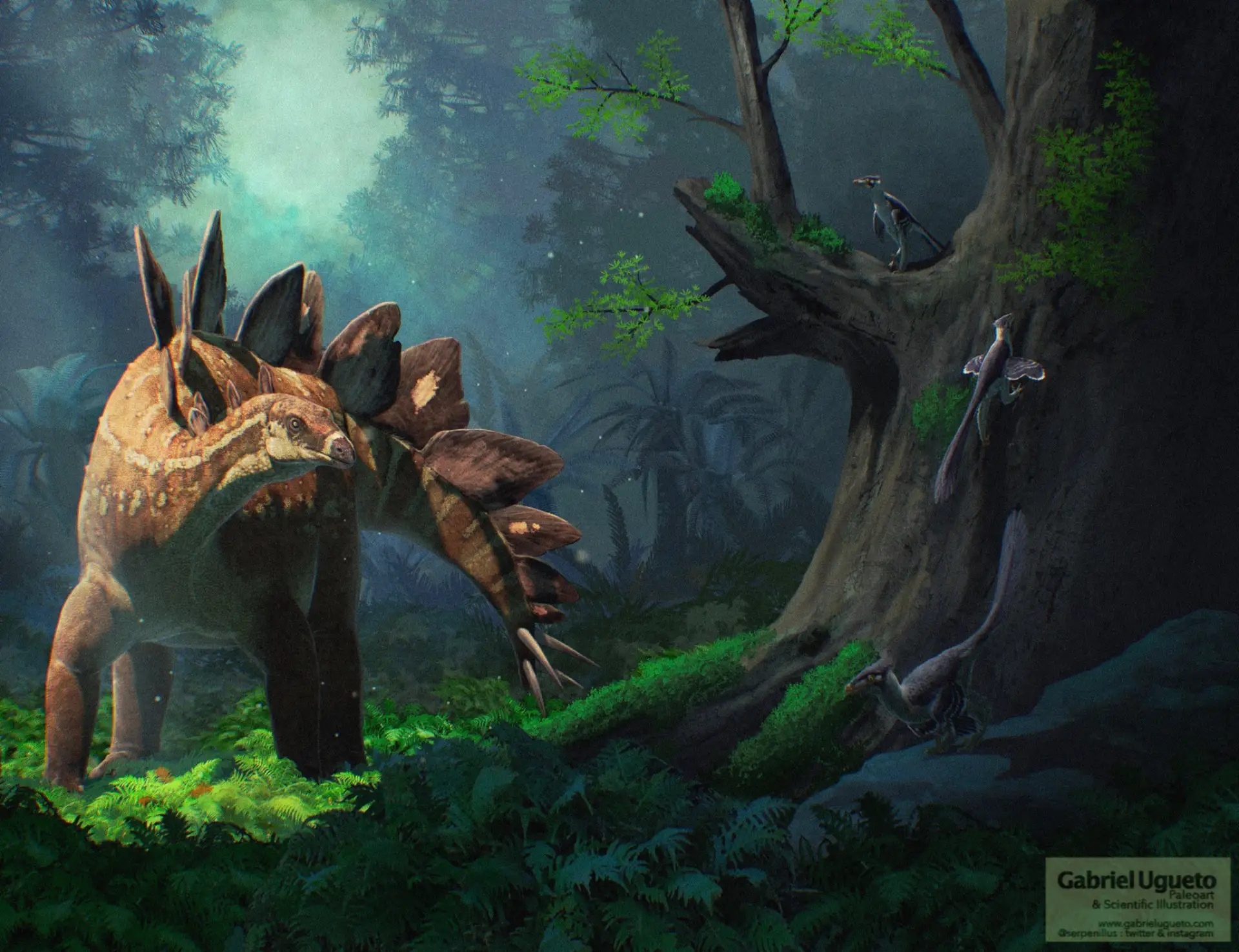 А мы продолжаем рассказывать, что мы делали этим летом🦕🦕🦕 Каждый год наша команда вы...