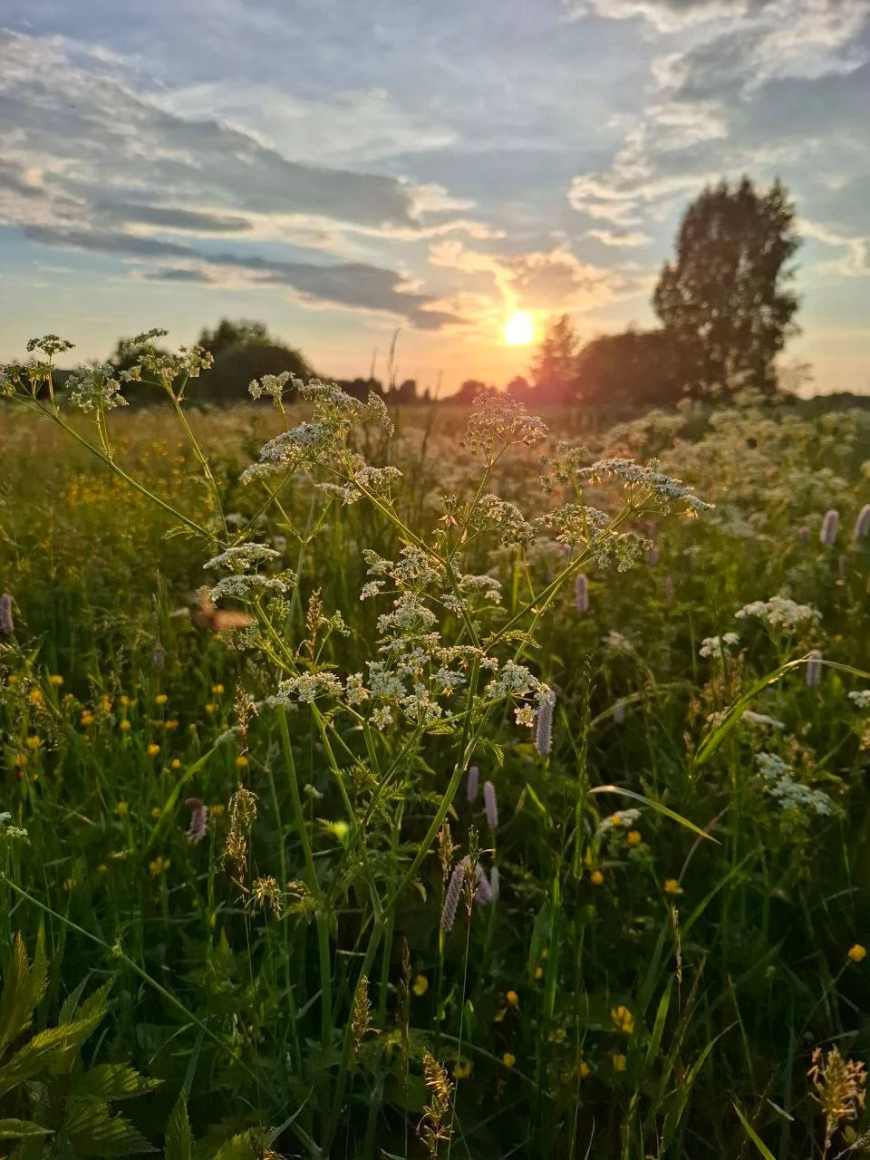 🌙 Доброй ночи, Архангельск!