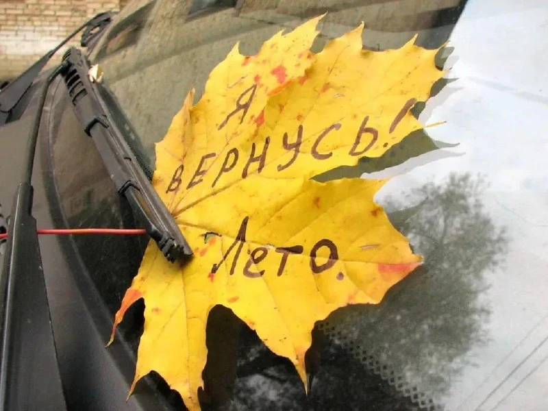 ... лето кончилось, так и не выполнив ни одного из своих обещаний. 💥  (Виктор Пелевин ...