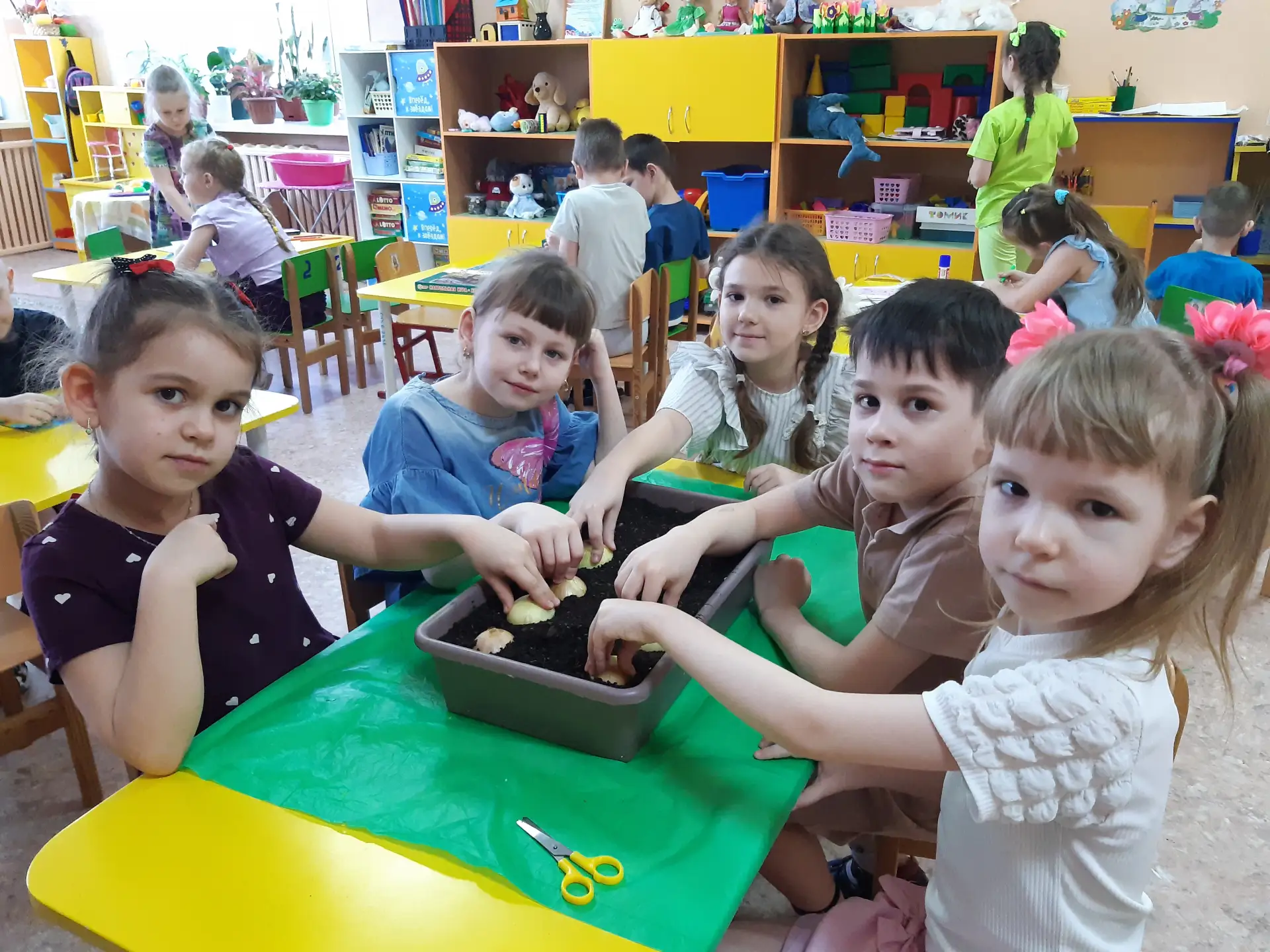 "Лук- наш лучший друг"- посадка лука в подготовительной группе «Левушка»