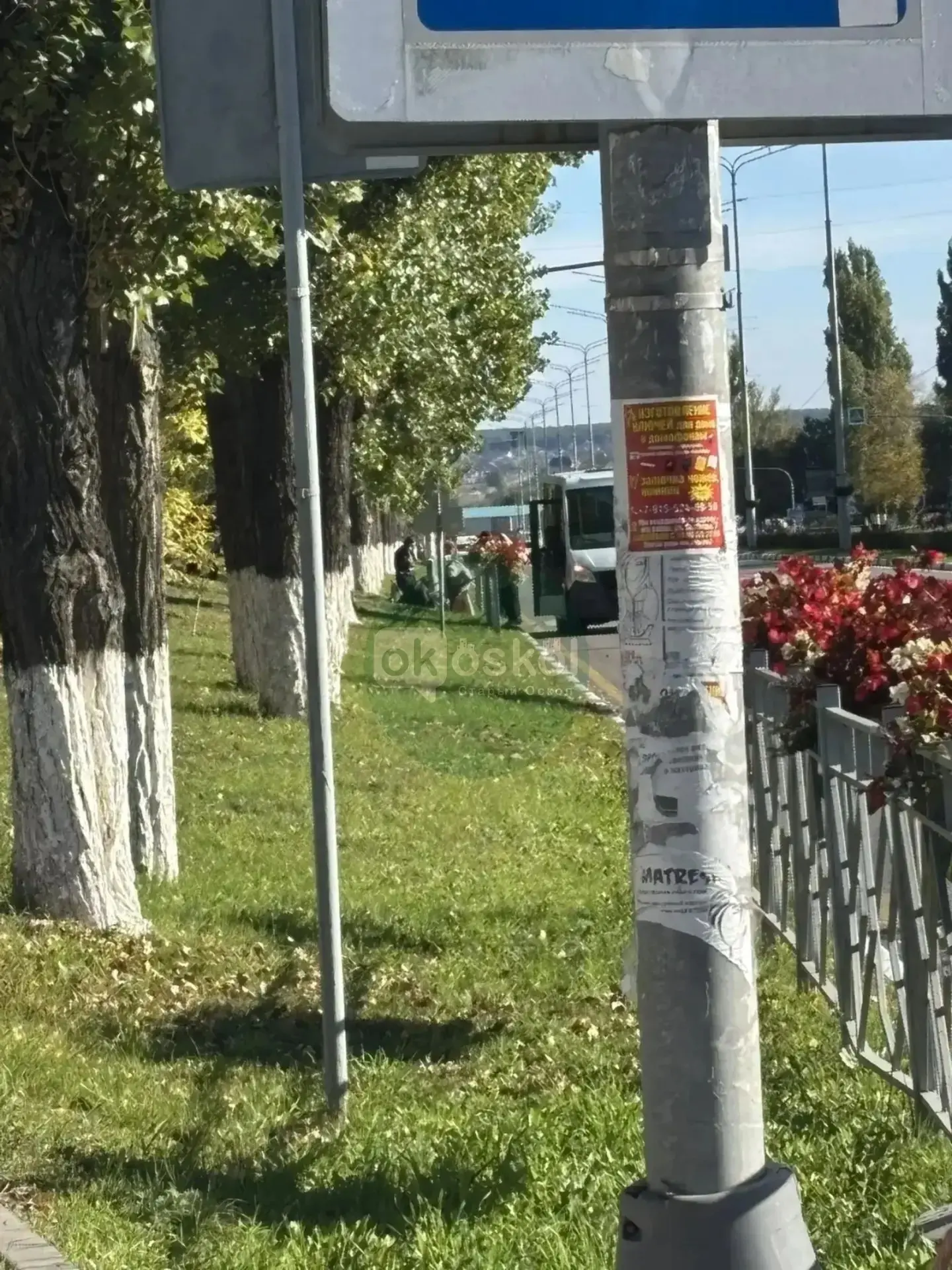 Снова сбили пешехода.