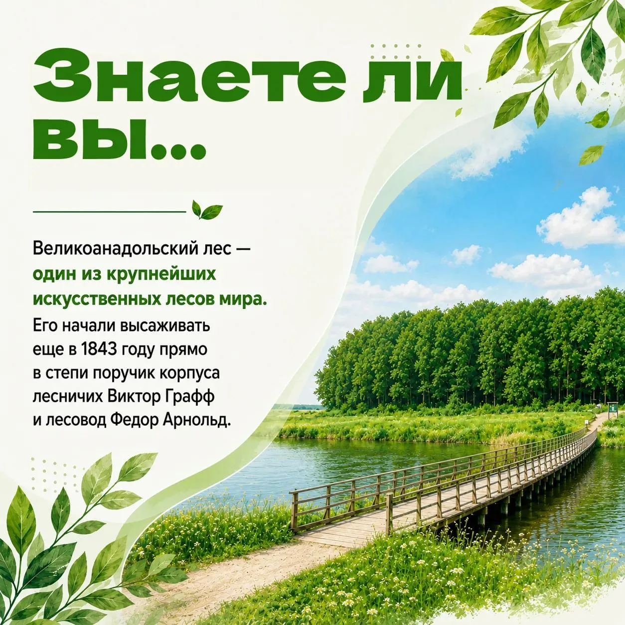 "Знаете ли вы, что на Донбассе есть рукотворный лес?