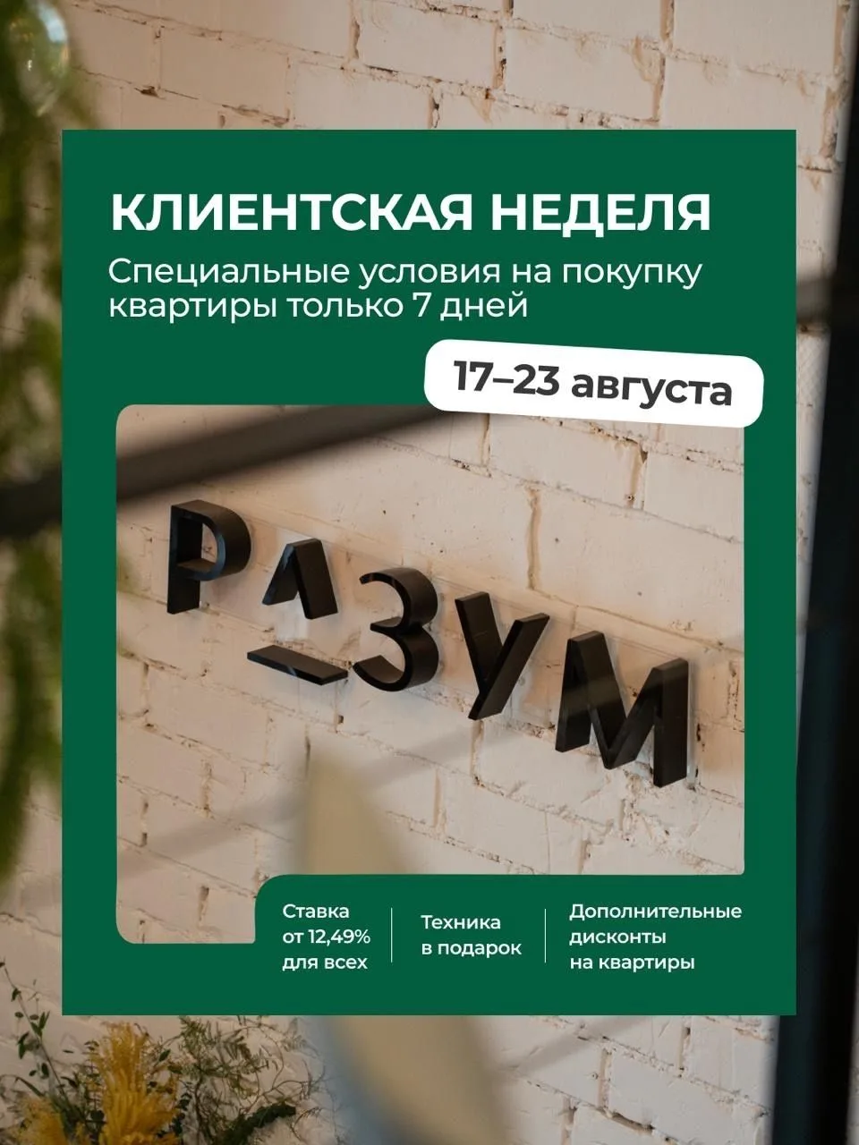 ️⚡️ КЛИЕНТСКАЯ НЕДЕЛЯ В РАЗУМ — С 17 ПО 23 АВГУСТА