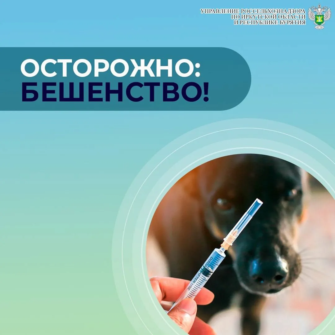Всемирный день борьбы с бешенством отмечается ежегодно 28 сентября.