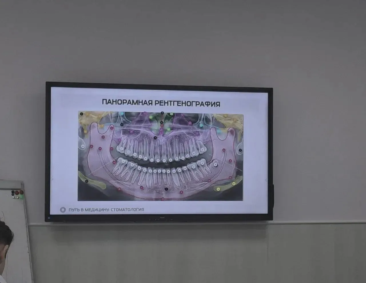«Путь в медицину: стоматология»: лёд тронулся!  16 февраля стартовала образовательная программа для 
