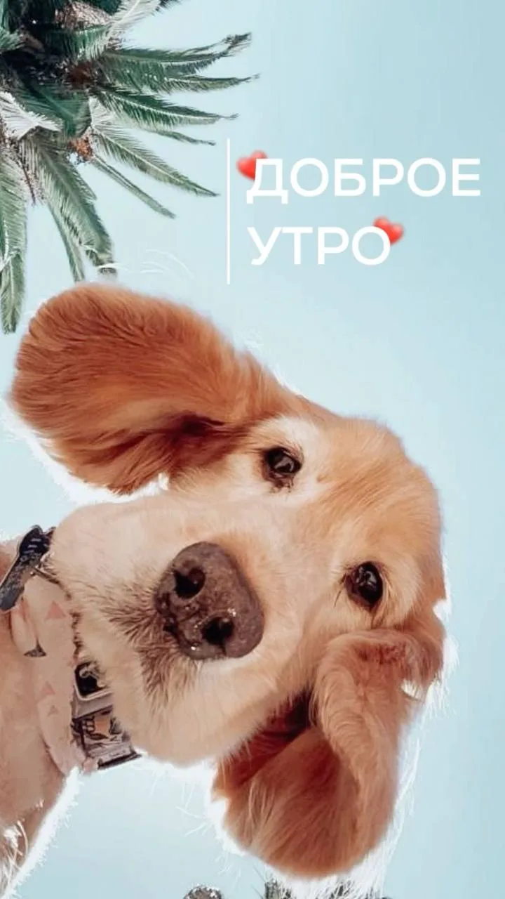 ☀️ Доброе утро, Москва!