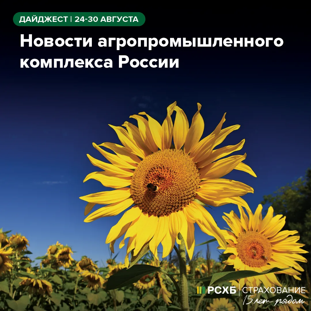 Обзор новостей агропромышленного комплекса России с 24 по 30 августа — в еженедельном д...
