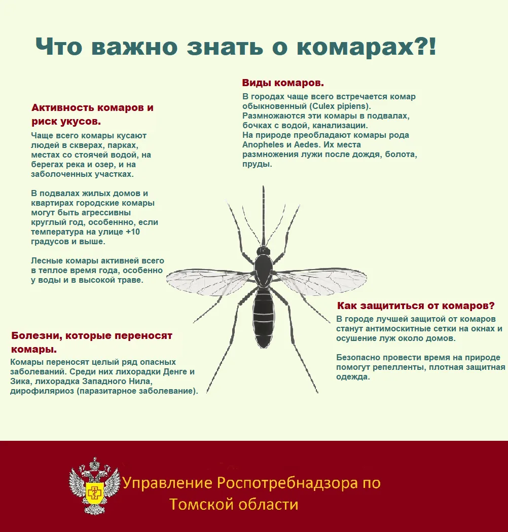 20 августа - Всемирный день комара!