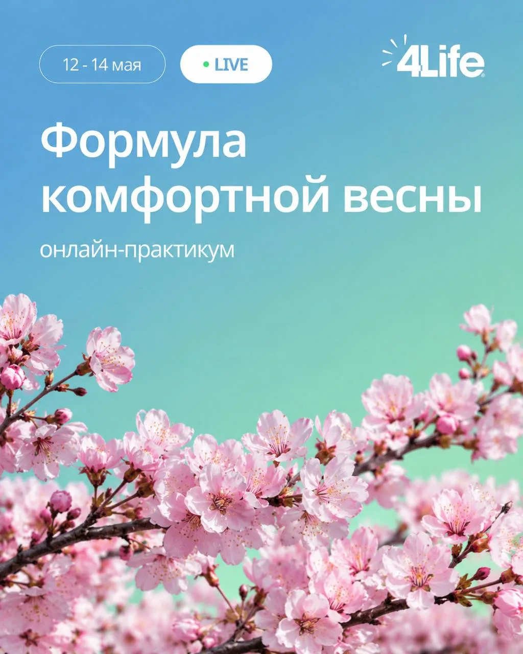 🌿 Практикум «Формула комфортной весны» — уже 12–14 мая!