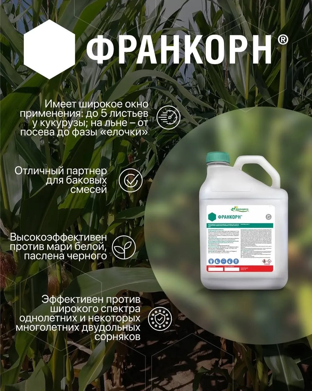 Контроль двудольных сорняков: Почему Франкорн®, КС?