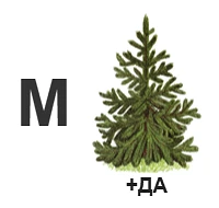 Новая неделя — новый вызов! 🔥