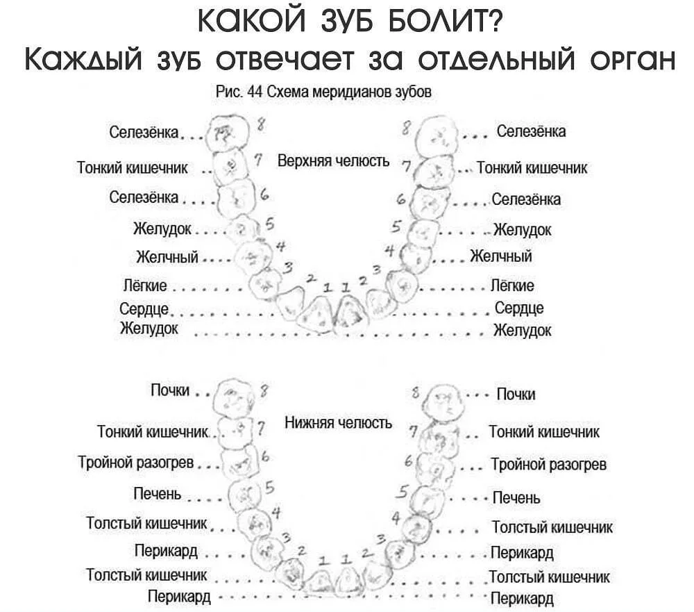Полезно знать 🌿

⚠️ Информация предоставлена в ознакомительных целях и не заменяет медицинскую помо