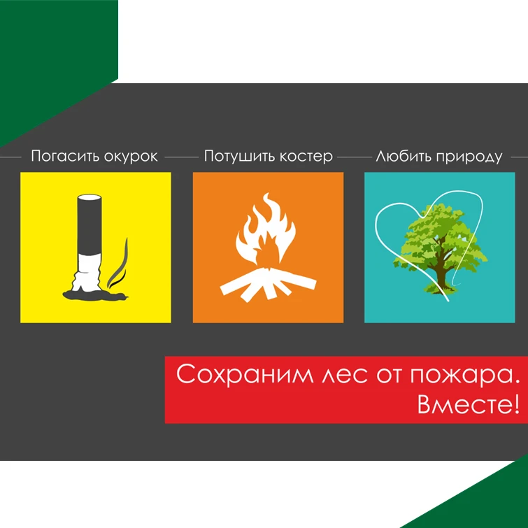 Обстановка в регионе по тушению лесных пожаров