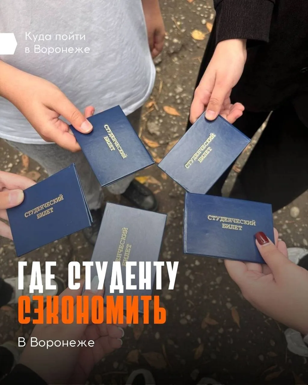 🎉 Собрали всю халяву здесь