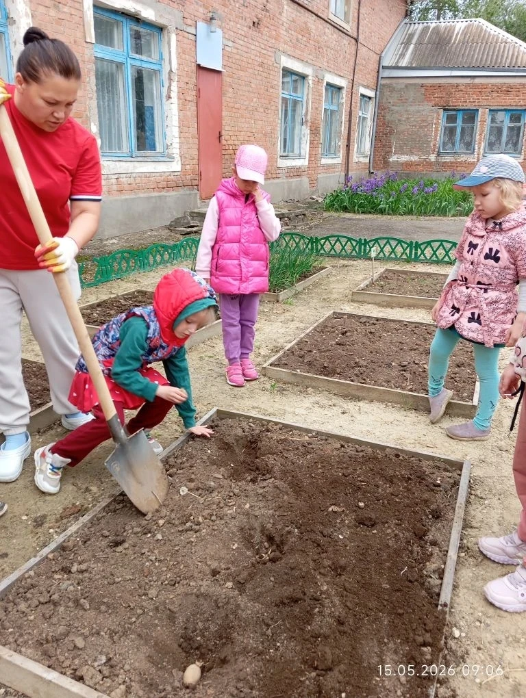 В рамках экологического воспитания, группа