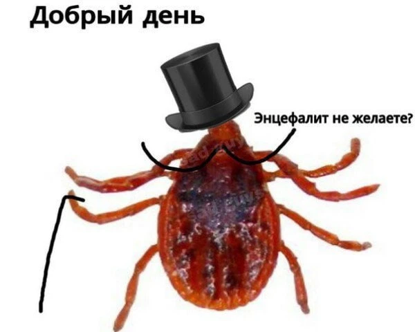 Свердловчане, будьте внимательны: заразиться энцефалитом можно и без укуса клеща. Опасн...